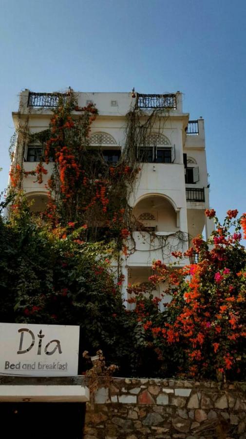 Dia Homestay Pushkar Extérieur photo