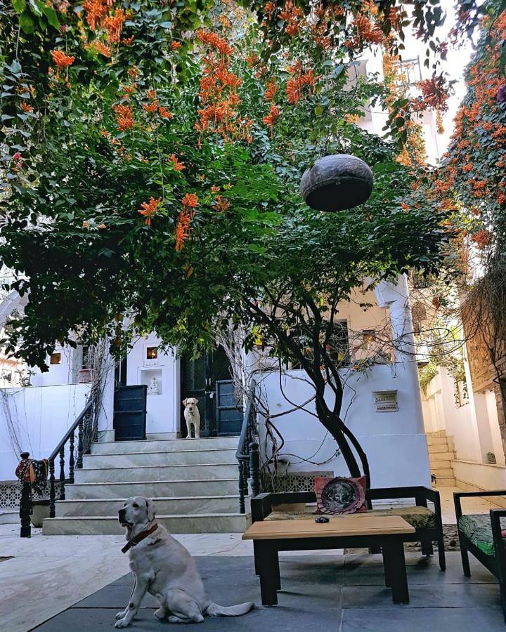 Dia Homestay Pushkar Extérieur photo